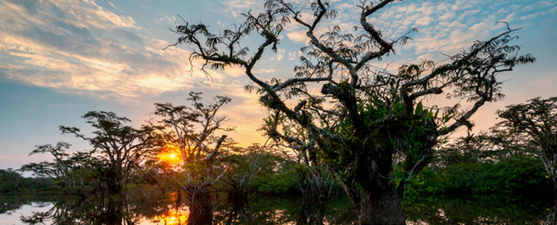 Mirrored Sunset in Cuyabeno